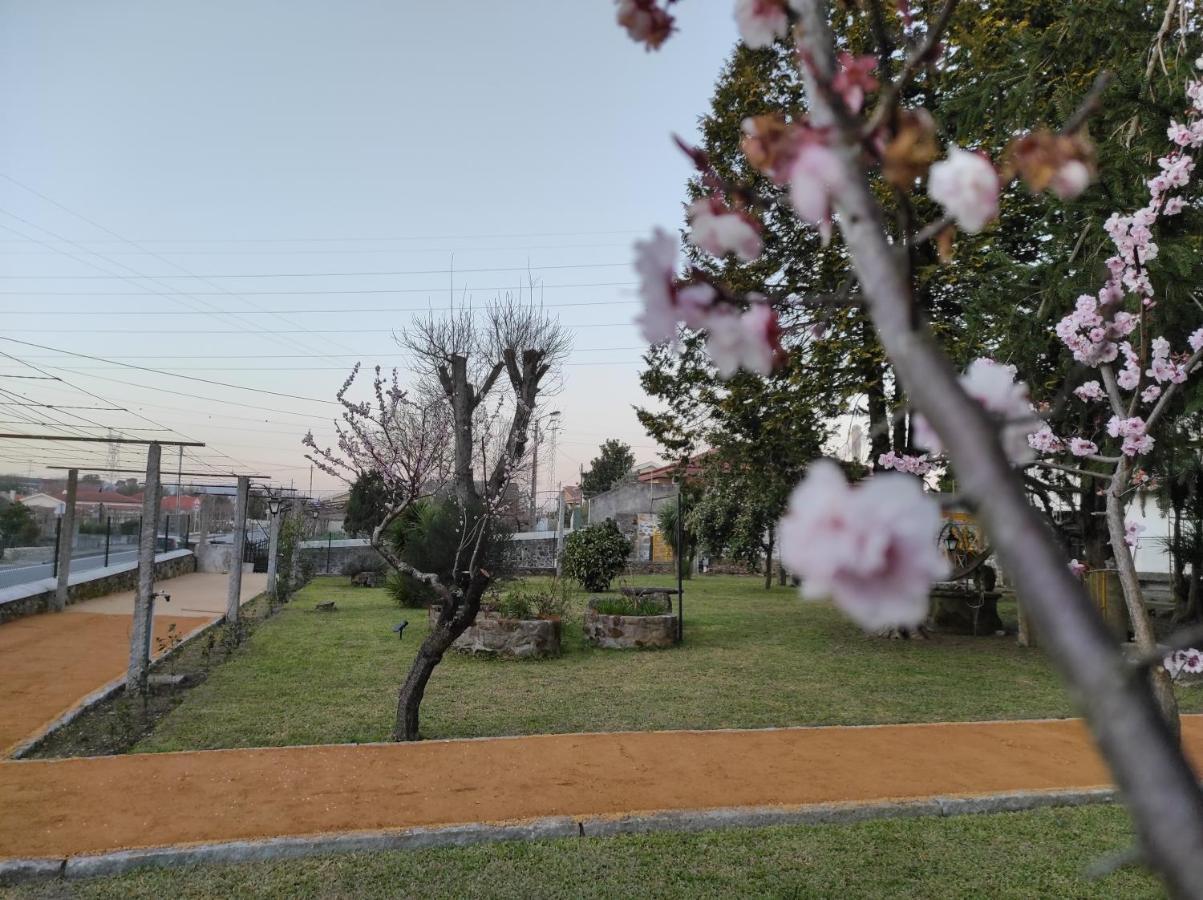 ヴィーラ・ヴェルデQuinta Do Gestal - Souteloアパートメント エクステリア 写真