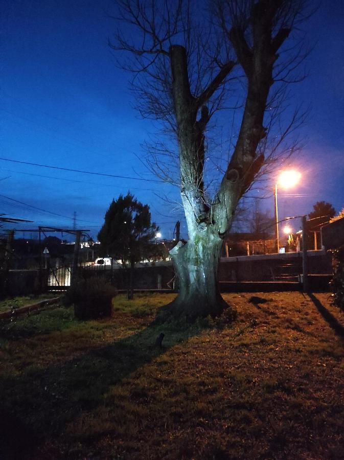 ヴィーラ・ヴェルデQuinta Do Gestal - Souteloアパートメント エクステリア 写真