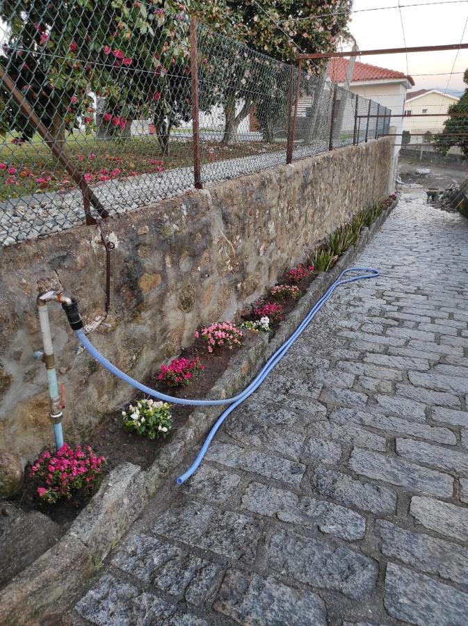ヴィーラ・ヴェルデQuinta Do Gestal - Souteloアパートメント エクステリア 写真