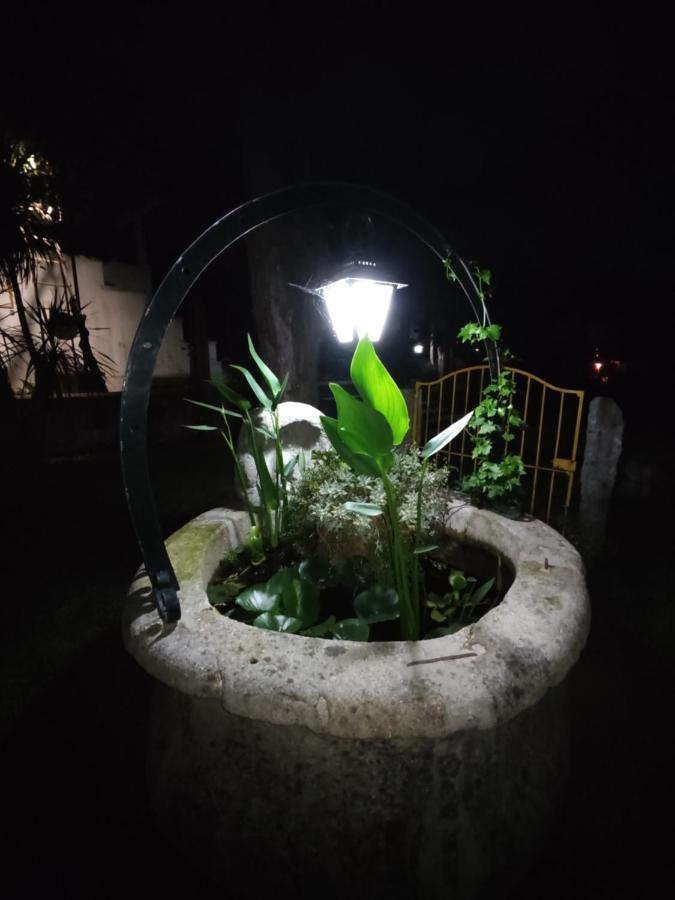 ヴィーラ・ヴェルデQuinta Do Gestal - Souteloアパートメント エクステリア 写真